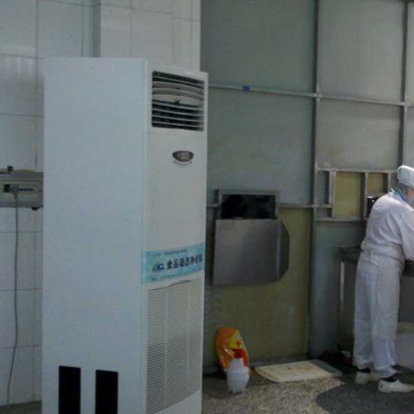 阳江食品正负离子空气杀菌器